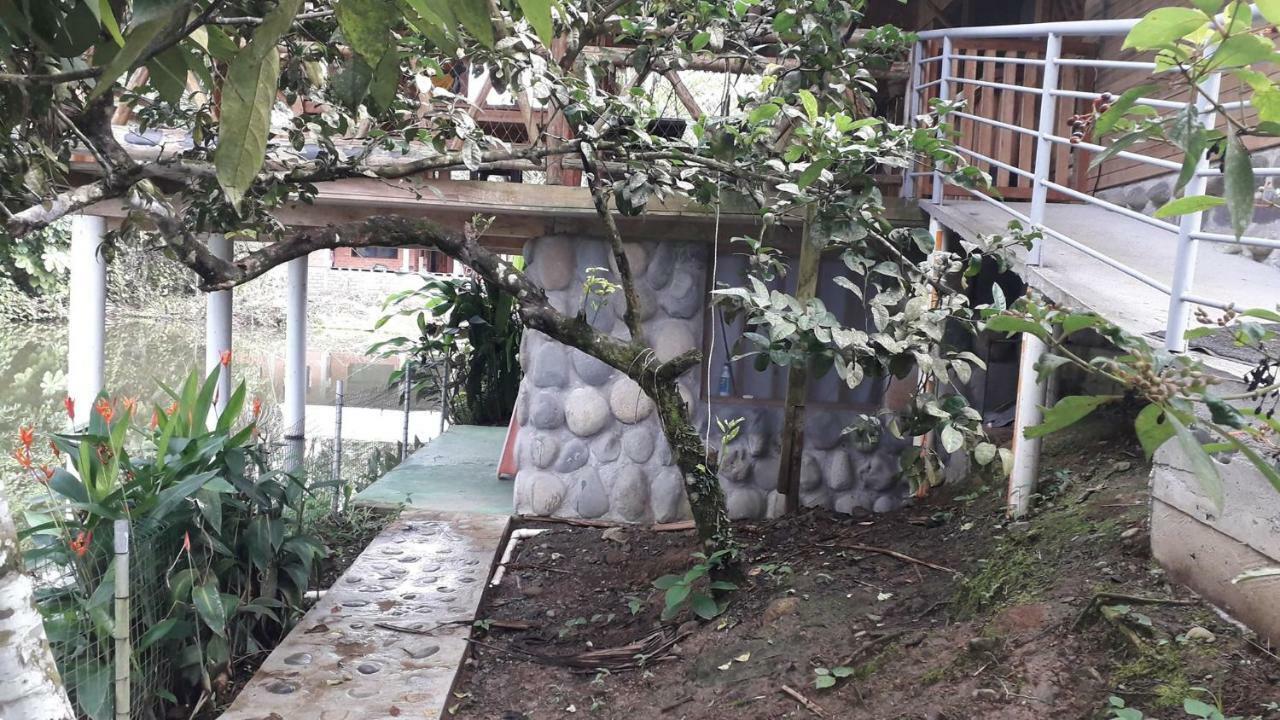 El Sueno Del Coati Hotel Puerto Misahuallí Esterno foto