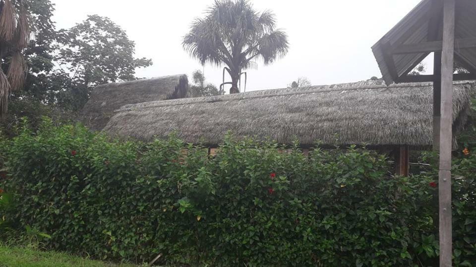 El Sueno Del Coati Hotel Puerto Misahuallí Esterno foto