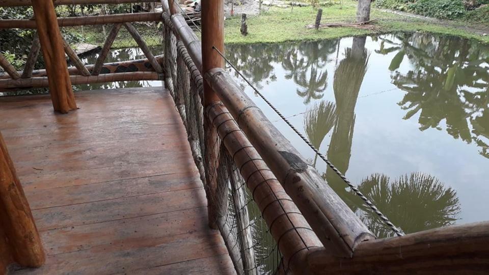 El Sueno Del Coati Hotel Puerto Misahuallí Esterno foto