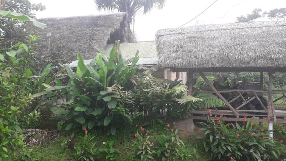 El Sueno Del Coati Hotel Puerto Misahuallí Esterno foto